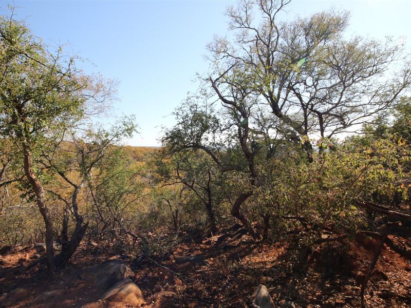 A view of the natural landscape featuring native trees and rocky terrain on the vacant residential property.