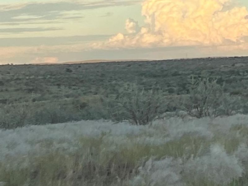 Rural Elegance: 7,749-Hectare Livestock Farm with Comprehensive Improvements - Photo 7