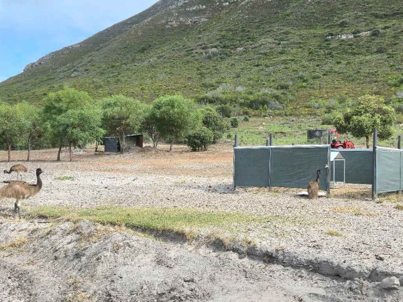 Kamba Farm – An Exceptional Opportunity in Franskraal, Western Cape - Photo 2