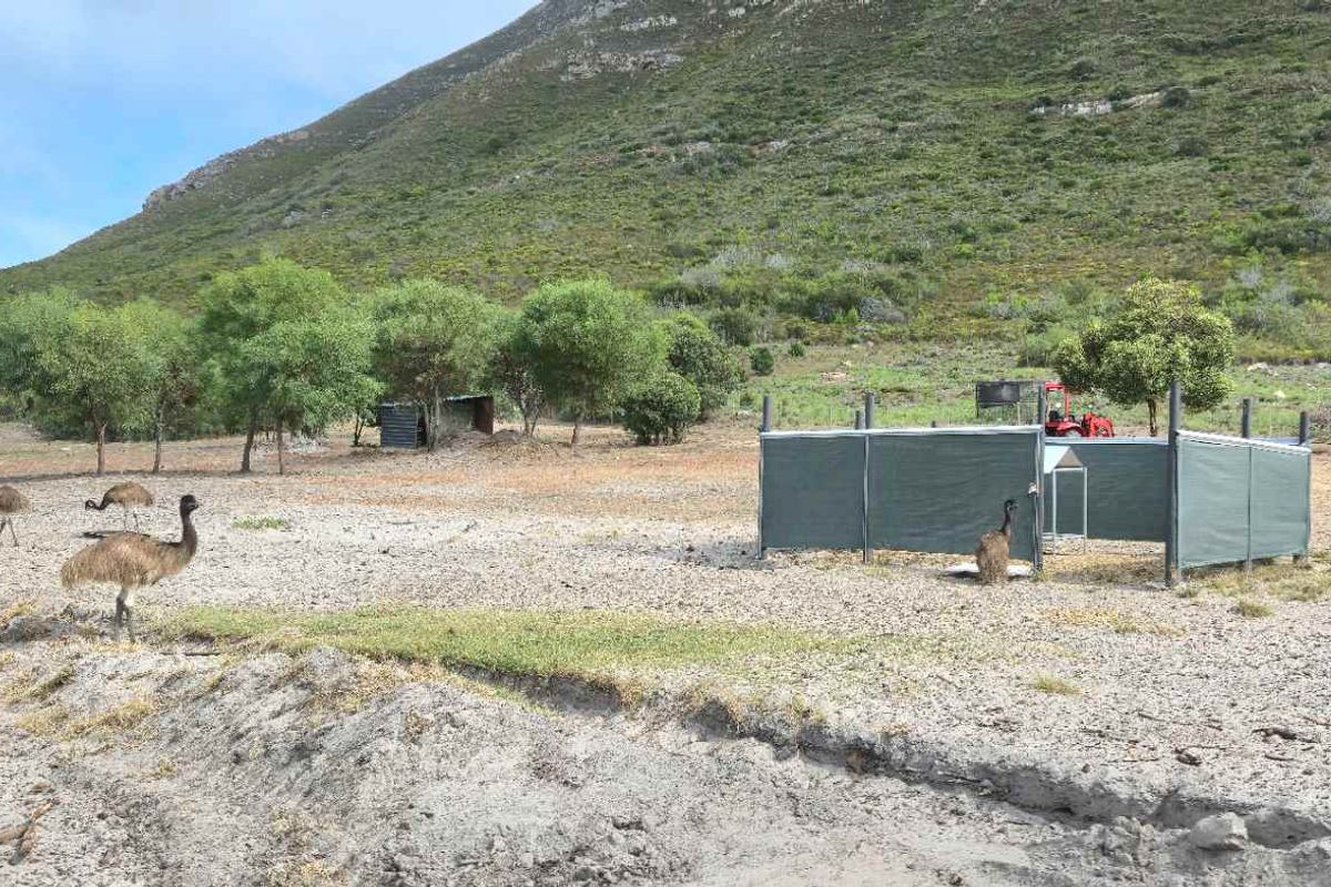 Kamba Farm – An Exceptional Opportunity in Franskraal, Western Cape - Photo 2