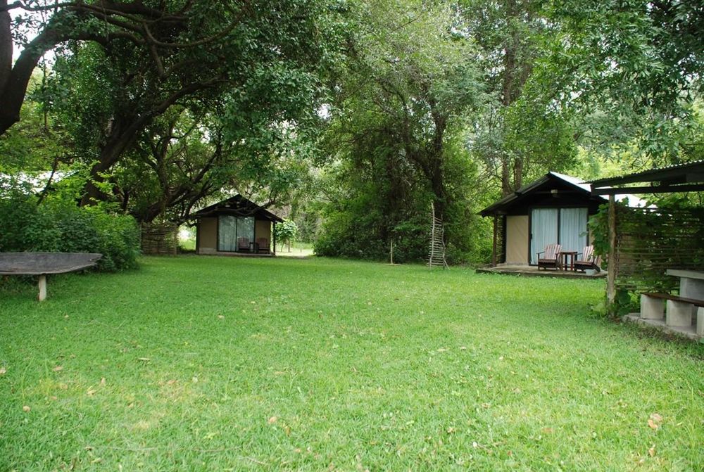 Luxury Tents and Kitchette