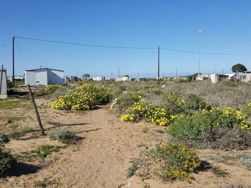 A view of a vacant residential plot featuring sandy terrain, native vegetation, and existing utility infrastructure including power lines and poles.
