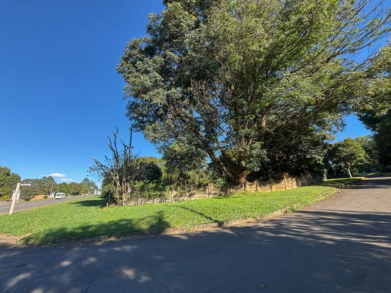Prime Opportunity on Howick’s Main Artery - Photo 5