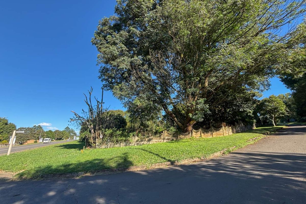 Prime Opportunity on Howick’s Main Artery - Photo 5
