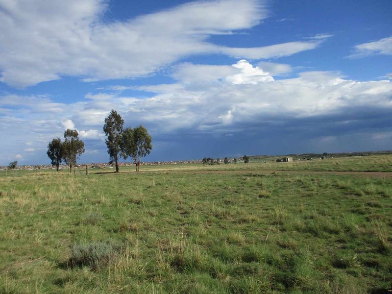 GREAT BUSINESS OPPORTUNITY - Photo 6