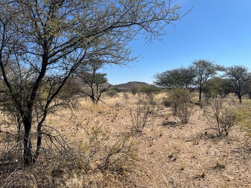 A scenic view of the natural landscape featuring native trees and rocky terrain under a clear blue sky.