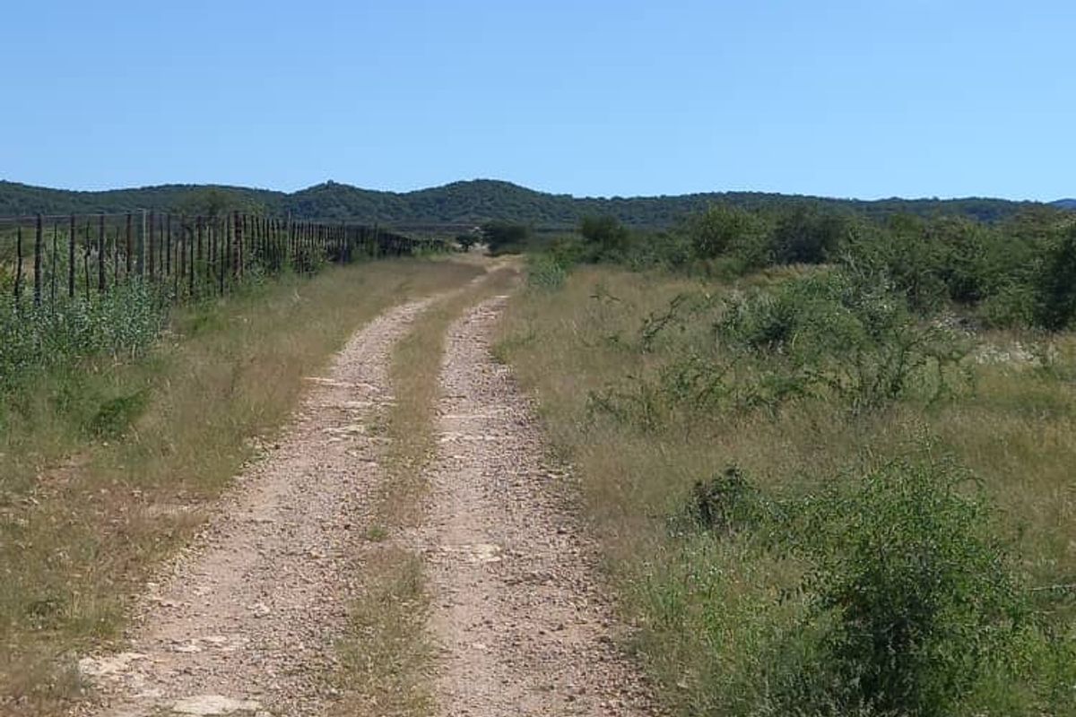Outjo, 701 Ha Smallholding is for Sale - Photo 5