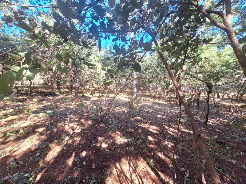 460m2 Stand in Leeupoort - Natures Perfect Canvas - Photo 2