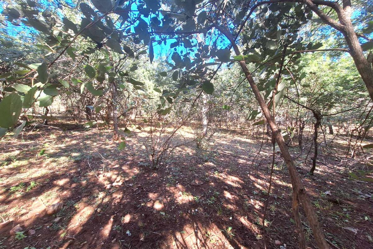 460m2 Stand in Leeupoort - Natures Perfect Canvas - Photo 2