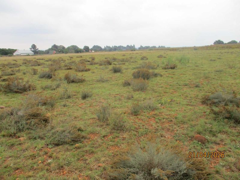 Enjoy the tranquility of Henley - Photo 7