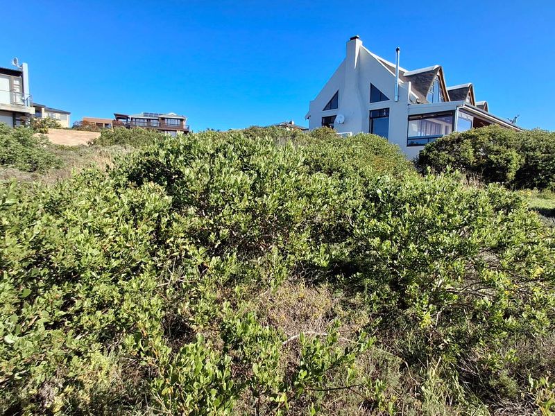 A view of the rear elevation of a residential property set against a backdrop of native coastal vegetation and sloped terrain.