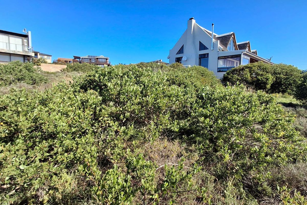 A view of the rear elevation of a residential property set against a backdrop of native coastal vegetation and sloped terrain.