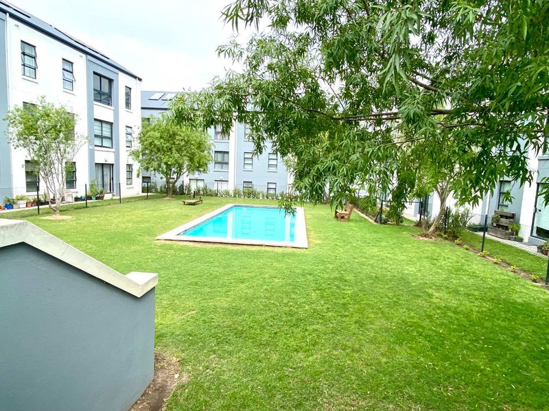 A well-maintained communal swimming pool set within a landscaped garden area, surrounded by apartment building facades.