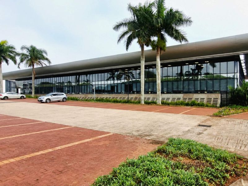 Modern office building exterior featuring extensive glass curtain walling, a distinctive curved roofline, and an expansive paved parking area with mature palm trees.