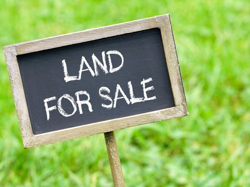 A sign indicating land for sale placed on a grassy area.