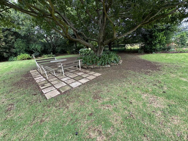 OFF-GRID INVESTMENT SMALL HOLDING – HELPMEKAAR, DUNDEE - Photo 7