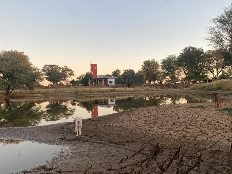 A view of a farm dam with low water levels and cracked earth, showing the surrounding landscape and distant farm buildings.