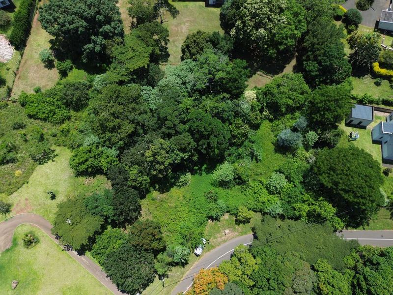 Vacant Land with Massive Potential in Crestholme! - Photo 5