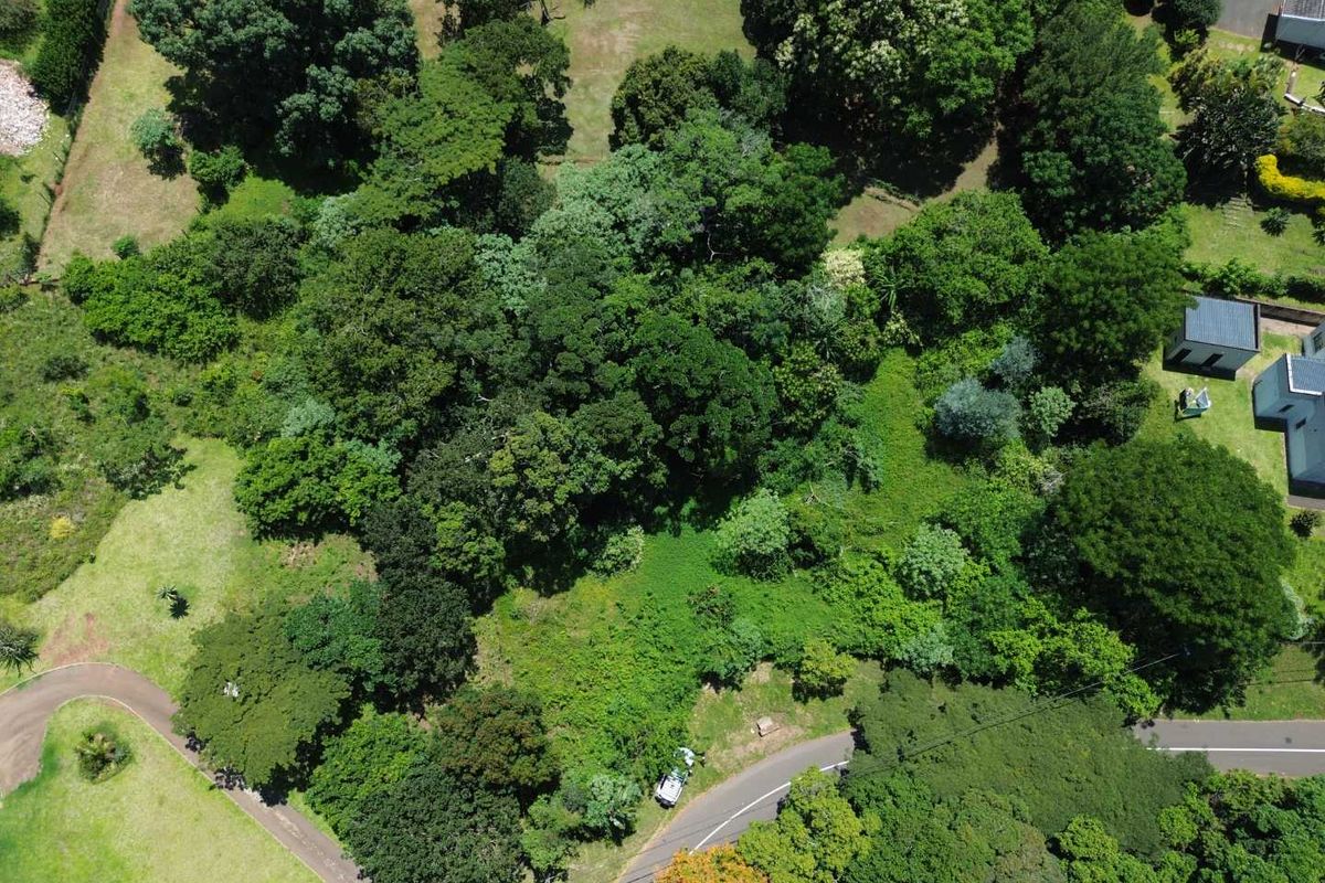 Vacant Land with Massive Potential in Crestholme! - Photo 5