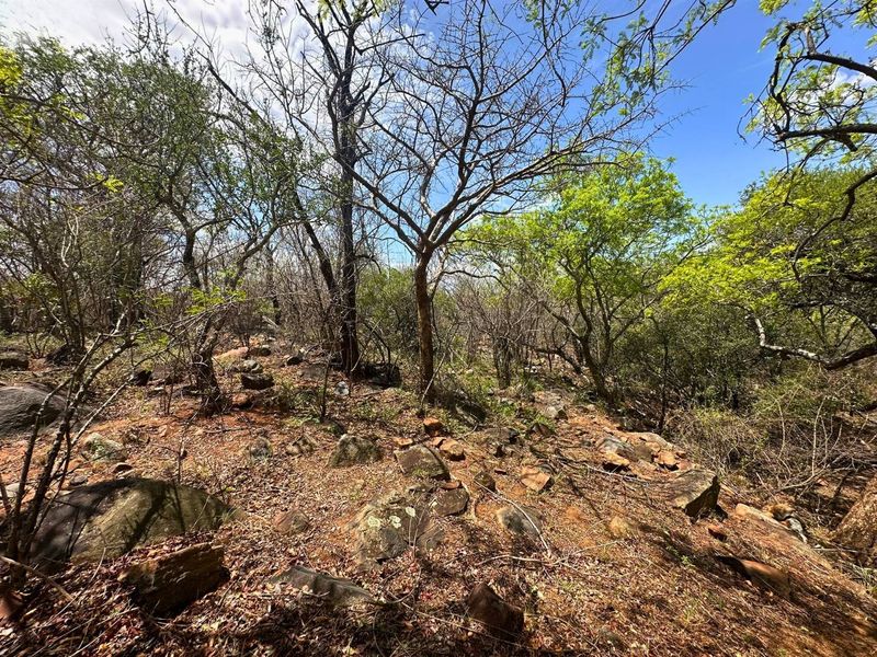 Elevated Stand with Views in Canyon Game Reserve. - Photo 5