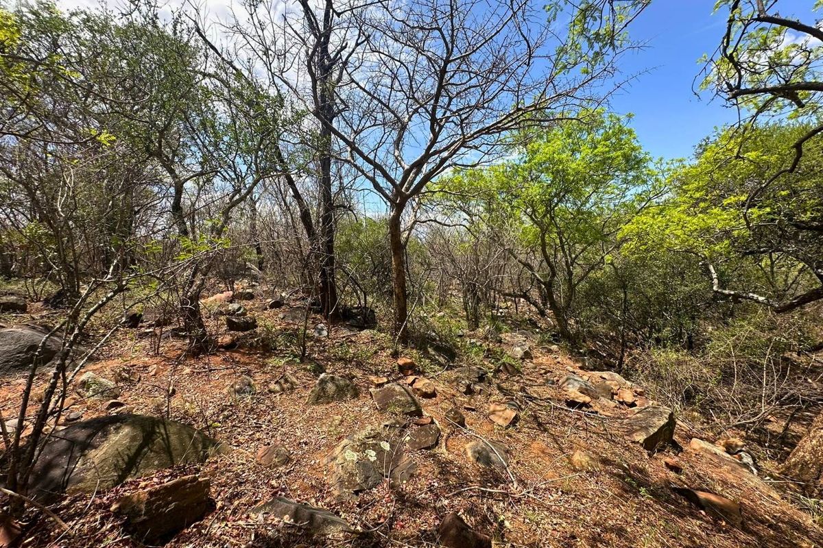 Elevated Stand with Views in Canyon Game Reserve. - Photo 5