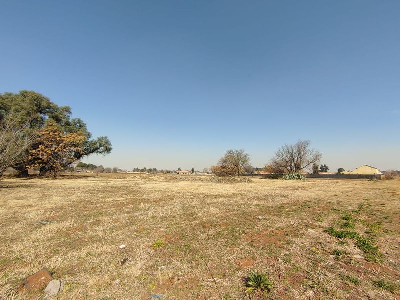 A wide-angle view of a large, flat, vacant commercial plot featuring dry grass and mature trees under a clear blue sky.