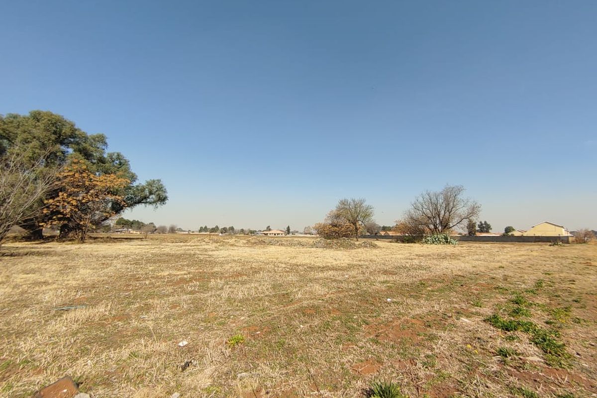 A wide-angle view of a large, flat, vacant commercial plot featuring dry grass and mature trees under a clear blue sky.