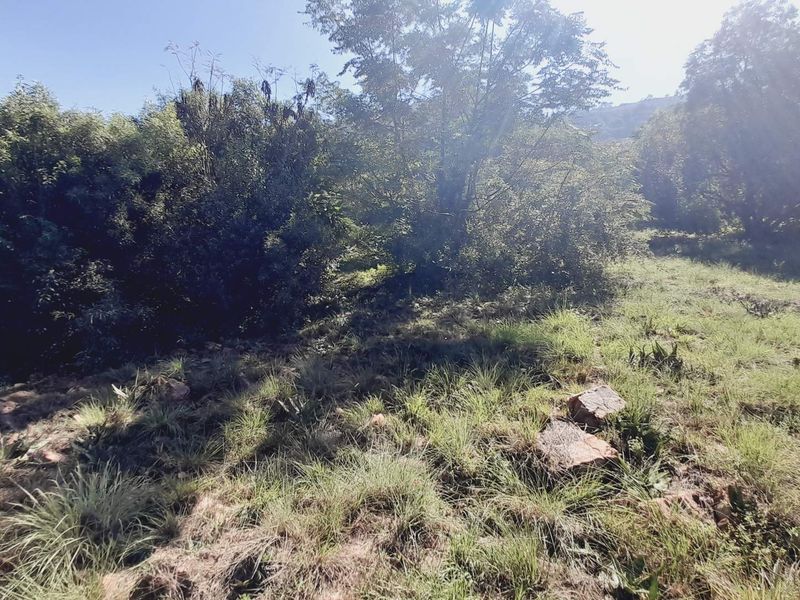 "Kosmos Ridge: Luxury Living with Nature's Backdrop!" - Photo 10