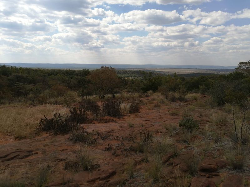 Build your dream retirement in the bushveld - Photo 4