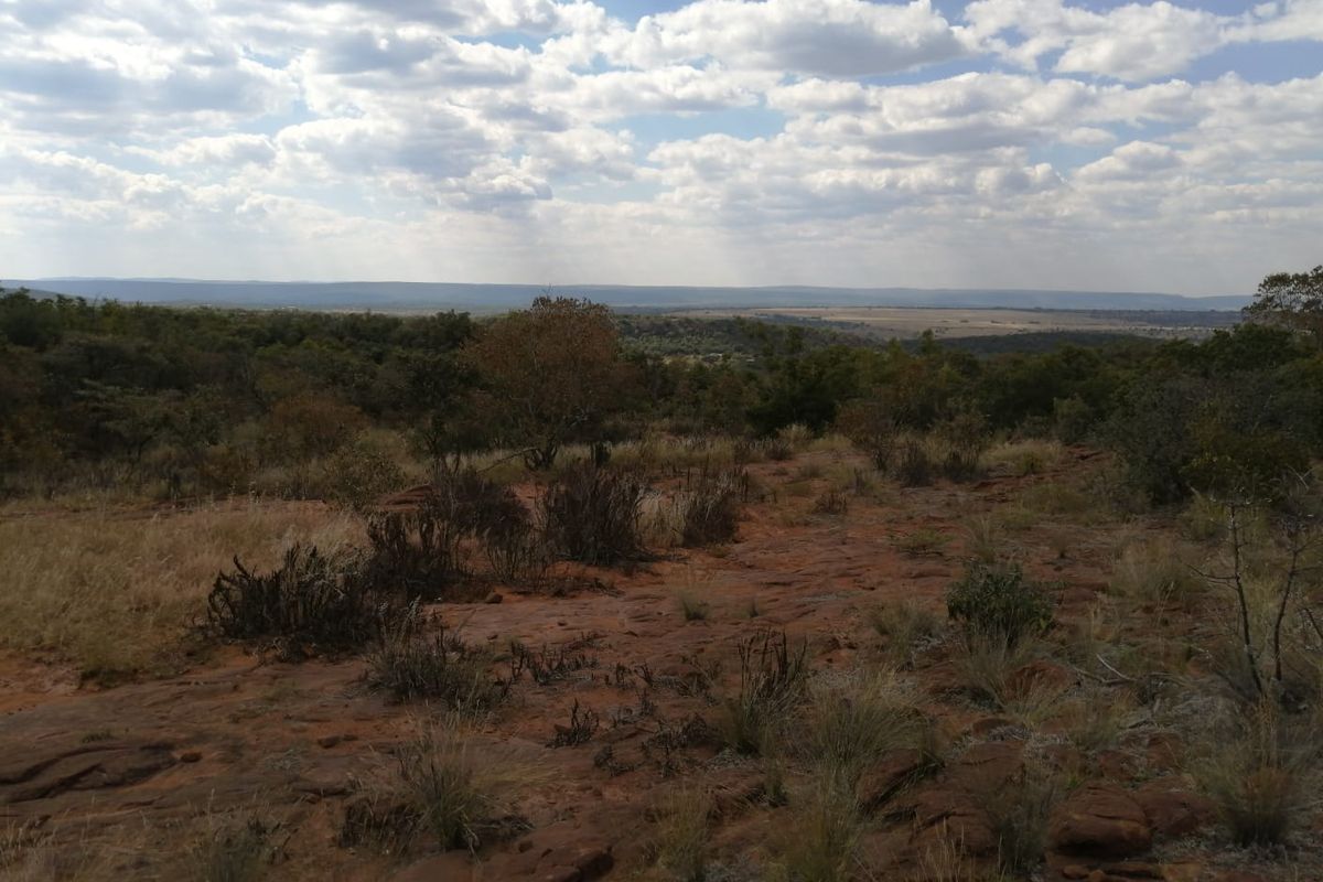 Build your dream retirement in the bushveld - Photo 4