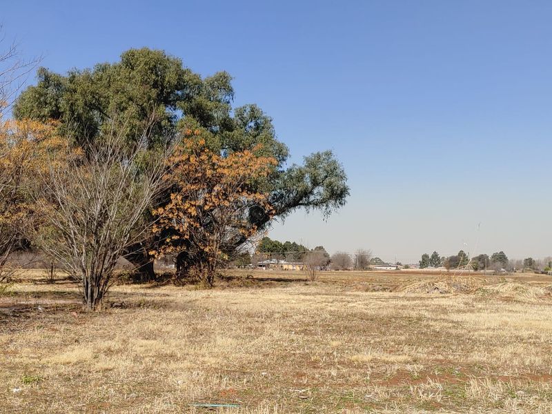 A view of the vacant commercial land featuring mature trees and open, level ground suitable for future development.