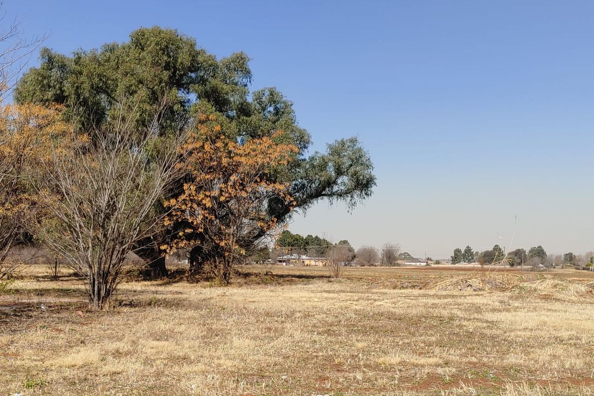 A view of the vacant commercial land featuring mature trees and open, level ground suitable for future development.
