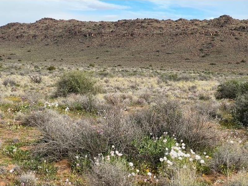 A Rare Karoo Legacy | 5 000 Hectares of Endless Opportunity - Photo 8