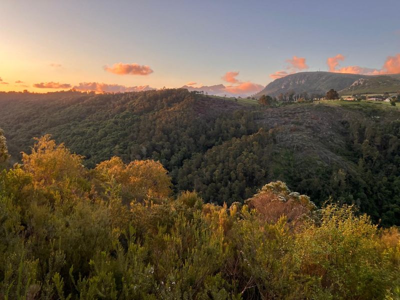 ***Local or International : Build your eco-friendly home in Hoekwil with Scenic views of the River and Mountains*** 3.6 Hectares - Photo 5