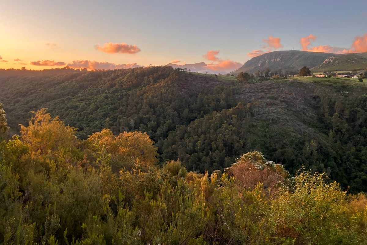 ***Local or International : Build your eco-friendly home in Hoekwil with Scenic views of the River and Mountains*** 3.6 Hectares - Photo 5