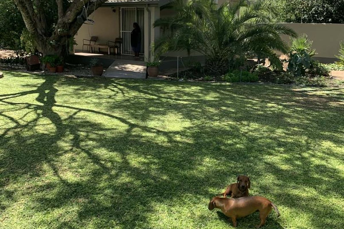 A view of the rear garden featuring a well-maintained lawn, mature trees, and a covered patio area attached to the house.