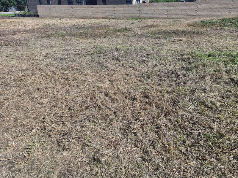 Prime 987m2 Vacant Stand in Hersham, Groot Brak Rivier on the Garden Route - Photo 5