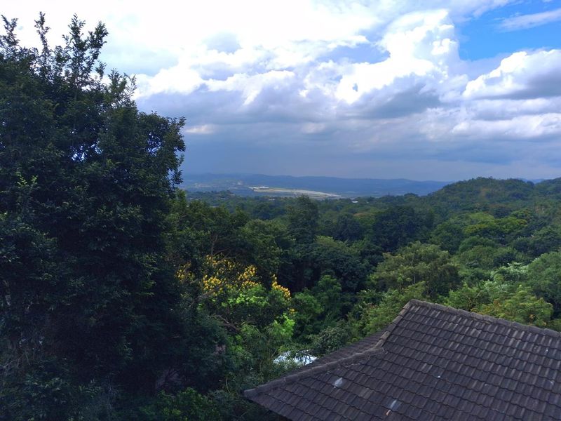 A scenic elevated view overlooking lush green forest canopy and distant hills under a cloudy sky.