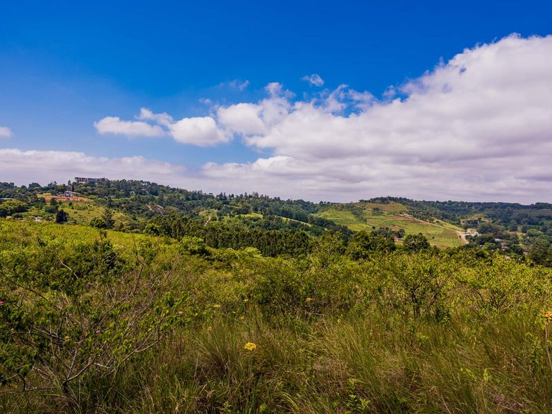 A scenic view of the surrounding natural landscape and rolling hills, showcasing the expansive outdoor environment of the vacant residential land.