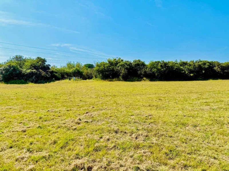 Premium Land on Steyn City's Greenbelt - Build Your Dream Home in a Serene Location - Photo 3