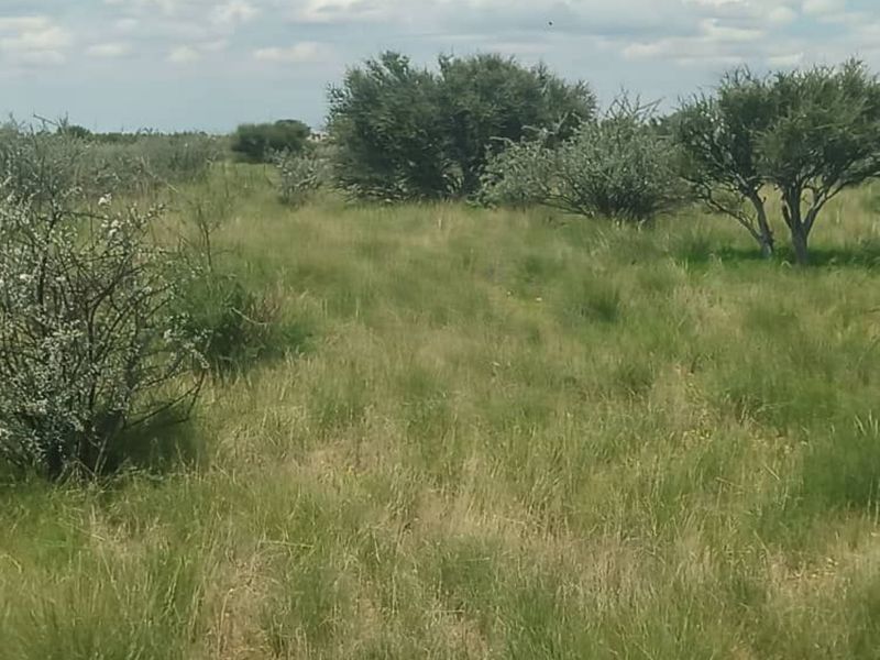 FOR SALE - FARM IN STAMPRIET, MARIENTAL AREA, NAMIBIA - Photo 8