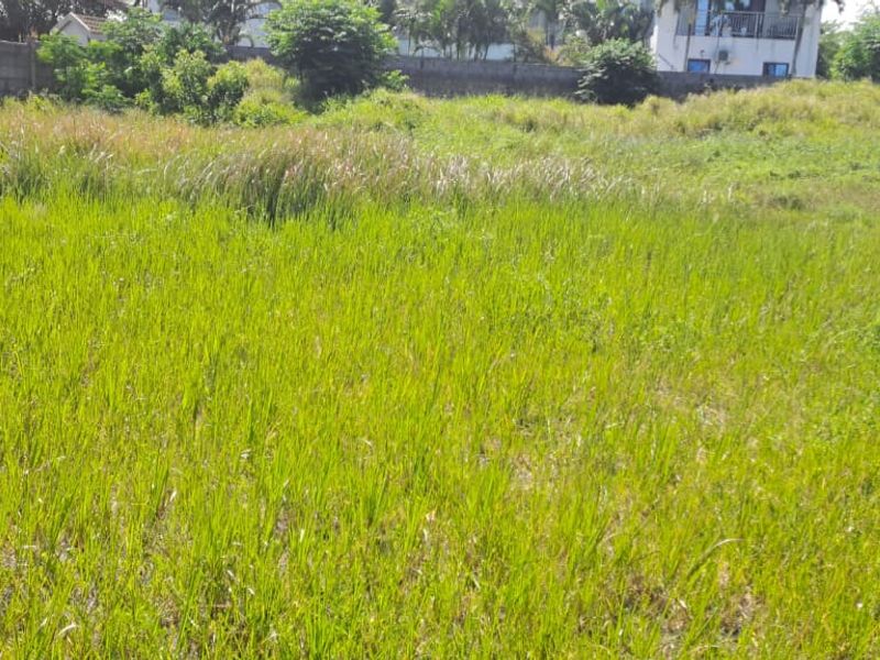Vacant Residential Land – Birdswood, Richards Bay - Photo 7