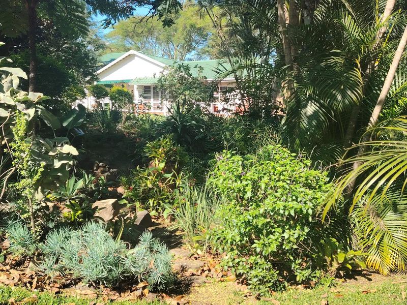 A lush, well-established garden featuring mature trees and diverse plantings, providing a scenic view of the property's rear exterior facade.