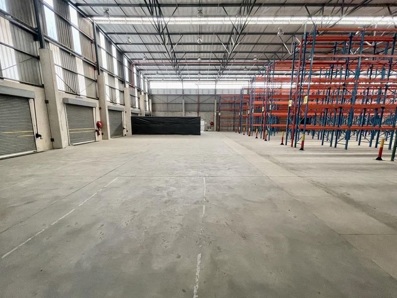 Spacious industrial warehouse featuring high ceilings, concrete flooring, multiple roller shutter doors, and an extensive integrated steel racking system for storage.