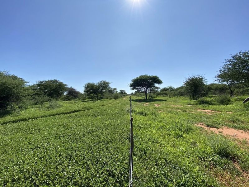 A Rare Opportunity to Own Your Dream Farmland! - Photo 2