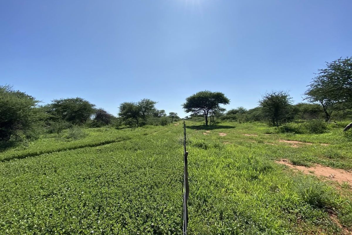 A Rare Opportunity to Own Your Dream Farmland! - Photo 2