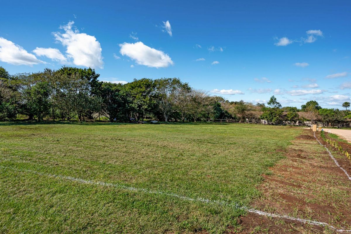 Perfect Land in Alverstone Equestrian Estate - Photo 2