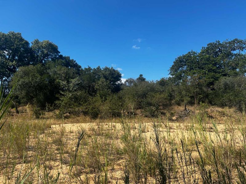Prime vacant River Stand in Moditlo Nature Reserve - Photo 2