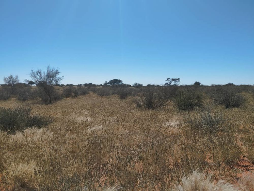 overview of farm land