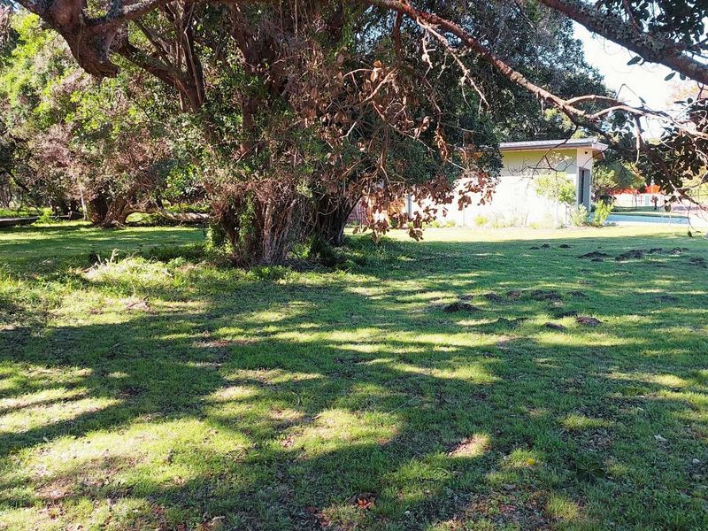 Vacant Land in Lake Brenton Eco Estate - Photo 6